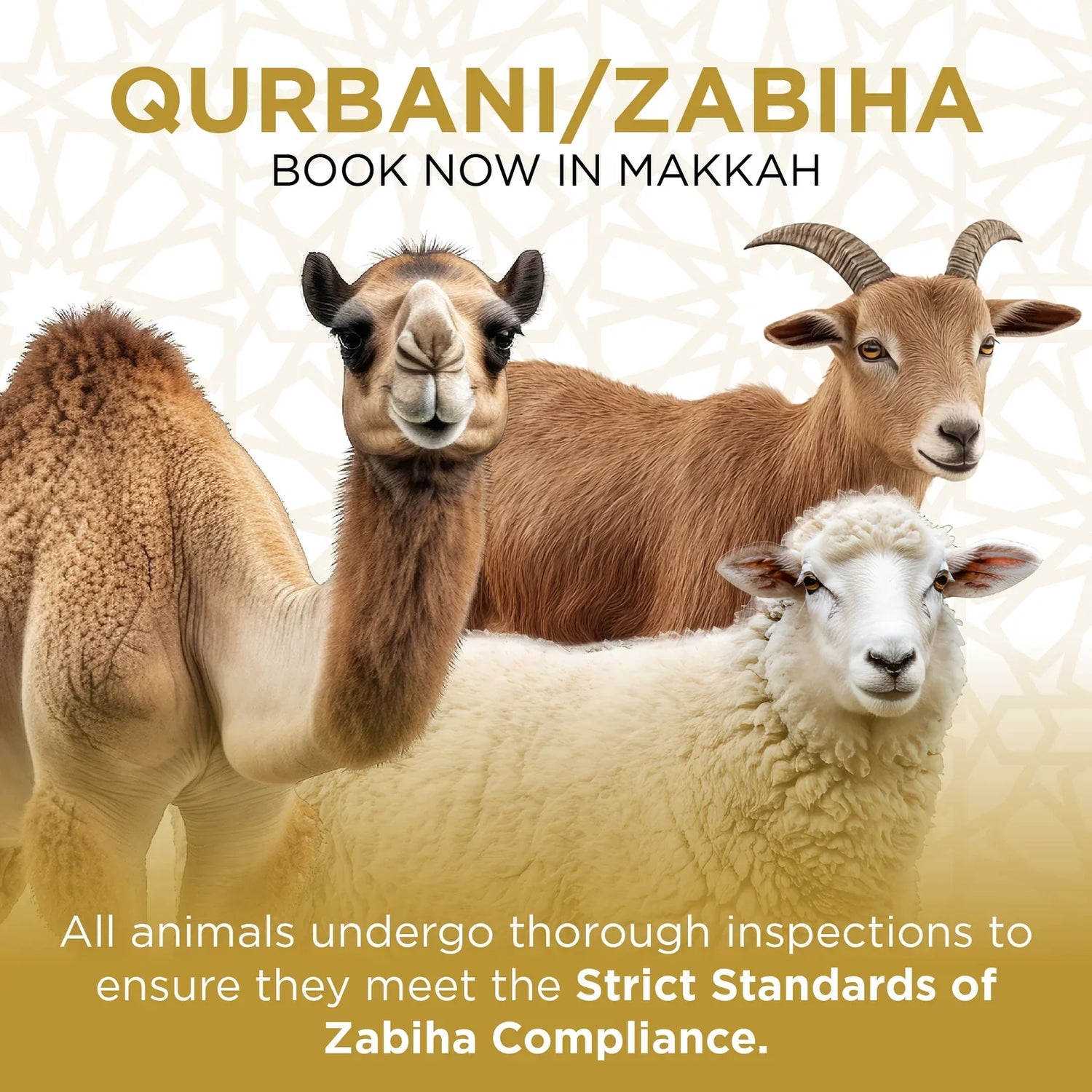 Qurbani in Makkah