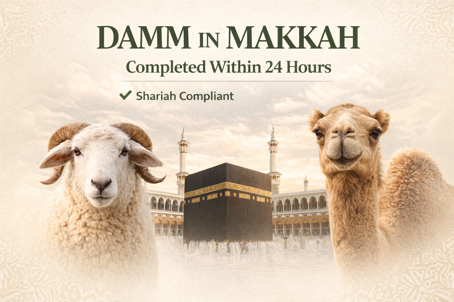 Damm in Makkah - Completed Within 24 Hours
