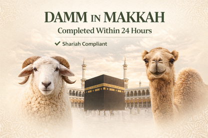 Damm in Makkah - Completed Within 24 Hours