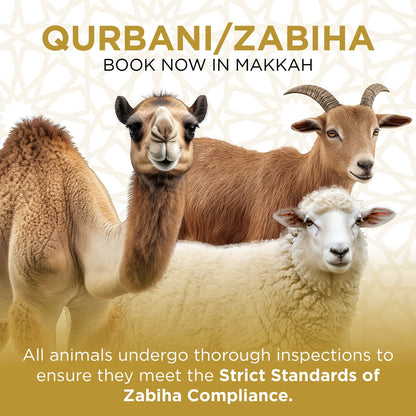 Qurbani / Zabiha in Makkah (24-Hour Completion)