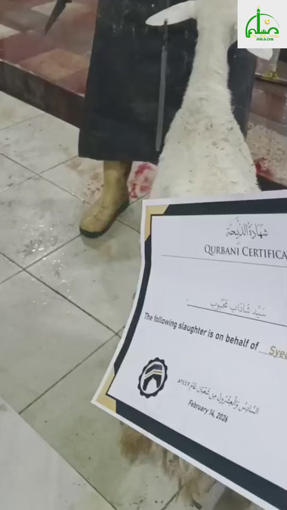 Damm in Makkah - Completed Within 24 Hours