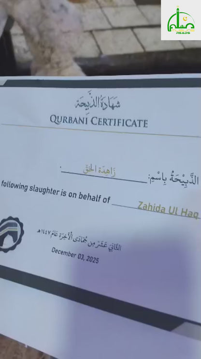 Damm in Makkah - Completed Within 24 Hours